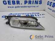 Nebelscheinwerfer links vorne VW Tiguan II AD 5NA941699A