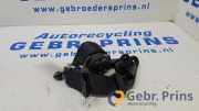 Sicherheitsgurt rechts hinten Fiat Panda 312, 319 619814200