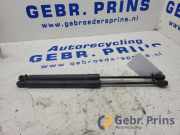 Heckklappendämpfer VW Golf V 1K 5561UU