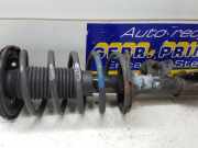 Federbein links vorne Hyundai i10 PA