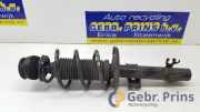 Federbein rechts vorne Skoda Citigo AA 1S0413031C