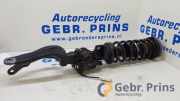 Federbein links vorne BMW 5er Touring F11 3711685292902