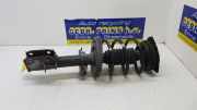 Federbein links vorne Renault Scenic III JZ 543020017R