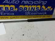 Heckklappendämpfer rechts Audi A3 Sportback 8P 8P4827552B