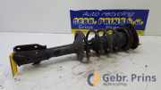 Federbein links vorne Daihatsu Terios 2 J2 48510B4050A