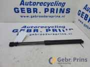 Heckklappendämpfer VW Polo V 6R, 6C 6R6827550A