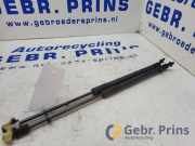 Heckklappendämpfer Kia Picanto 3 JA 81780G6010