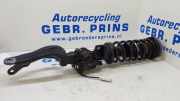 Federbein links vorne BMW 5er Touring F11 3711685292902