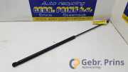 Gasdruckfeder VW Passat B6 Variant 3C5 3C0823359A
