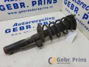 Federbein rechts vorne Audi A3 8P 824904000568