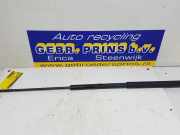 Gasdruckfeder Mercedes-Benz CLK Cabriolet A209 A2038800029