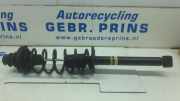 Federbein rechts hinten VW Golf IV Cabriolet 1E XXX000