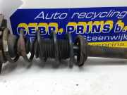 Federbein links hinten Nissan Almera II N16