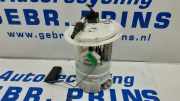 Kraftstoffpumpe Citroen C3 FC 1671039280