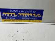 Antenne Dach Suzuki Celerio LF