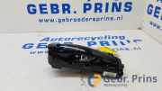 Türgriff links vorne BMW 5er Touring F11 X1717564310