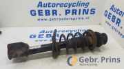 Federbein rechts vorne Dacia Lodgy JS 543028447R