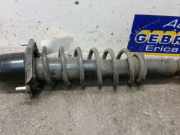 Federbein links hinten Toyota Corolla Verso E12J1