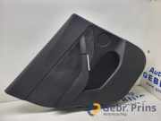 Türverkleidung links hinten Tesla Model Y 5YJY 169729699G