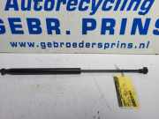 Heckklappendämpfer links Fiat Grande Punto 199 B4180