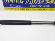 Heckklappendämpfer Fiat Punto Evo 199 51778432