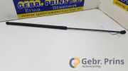 Gasdruckfeder VW Golf VI 5K 5K0823359D