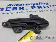 Türgriff rechts vorne Tesla Model Y 5YJY 1510114