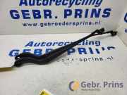 Wischerarm Ford EcoSport CN1517B589DB