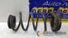 Feder hinten Fiat Punto 199