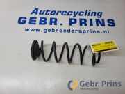 Feder hinten VW Polo VI AW 2Q0511121CK