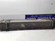 Ladeluftkühler Renault Laguna III Grandtour T 144960001R