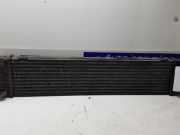 Ladeluftkühler Ford Galaxy WA6 6G919L440FC