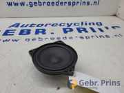 Lautsprecher Tesla Model Y 5YJY 107974200B