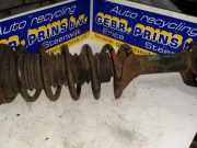 Federbein links hinten Land Rover Freelander 1 Soft Top L314 RPB101650
