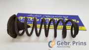 Feder hinten Renault Scenic IV J9