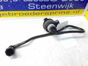 Sonstiges Teil Renault Clio IV BH 8200248821