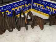 Federbein links vorne Land Rover Freelander 1 Soft Top L314 RPD10495