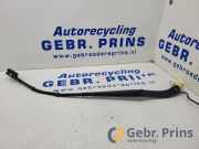 Wischerarm vorne Tesla Model Y 5YJY 278251