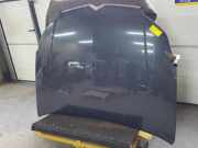 Motorhaube Citroen C5 II Break RE