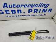 Heckklappendämpfer Toyota Yaris P13 689500W661