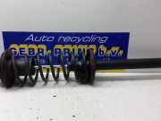 Federbein rechts hinten VW Golf III 1H