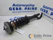 Federbein rechts vorne BMW 5er F10 10541314