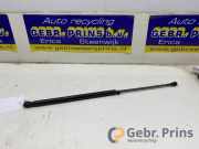 Heckklappendämpfer Citroen C1 689500H020