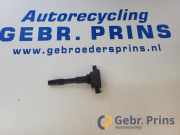 Zündspule Nissan Juke F15 R3303C00100