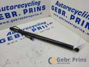 Heckklappendämpfer rechts BMW X4 G02, F98 996429