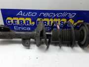 Federbein links vorne Suzuki Celerio LF 4160284M00