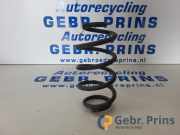 Feder hinten Nissan Juke F15 XXXXX