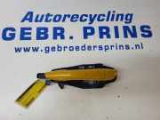 Türgriff links hinten Peugeot 208 II UB, UP, UW, UJ 9802977380