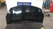 Motorhaube Citroen C3 II SC XXXXXXX