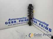 Federbein links vorne Suzuki Celerio LF